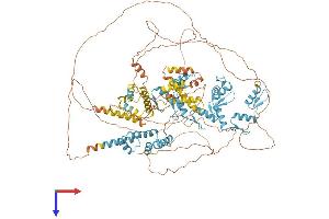 ZSCAN20 Protein (AA 1-1043) (His tag)