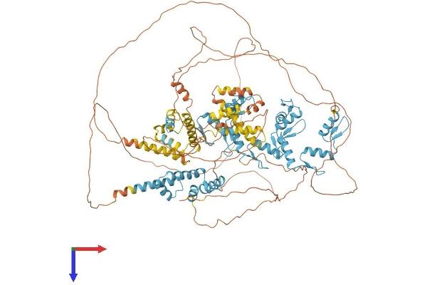 ZSCAN20 Protein (AA 1-1043) (His tag)