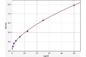 DPP9 ELISA Kit