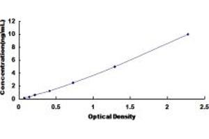 IL12RB1 ELISA Kit