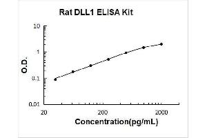 delta-Like 1 (DLL1) ELISA Kit