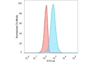 Flow Cytometry (FACS) image for anti-CUGBP, Elav-Like Family Member 2 (CELF2) antibody (ABIN7504156)