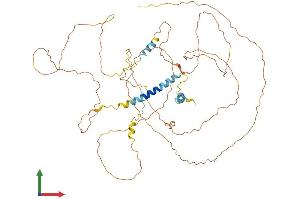 AlphaFold protein structure predicition of Mouse Recombinant Mtdh Protein, UniprotID Q80WJ7