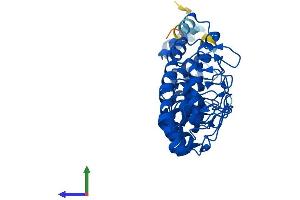 AlphaFold protein structure predicition of Mouse Recombinant Ankrd16 Protein, UniprotID A2AS55