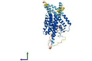 Protein Structure (PS) image for Diacylglycerol O-Acyltransferase 1 (DGAT1) (AA 1-488) protein (His tag) (ABIN7553654)