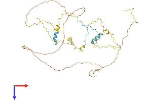 RCSD1 Protein (AA 1-416) (His tag)