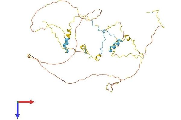 RCSD1 Protein (AA 1-416) (His tag)