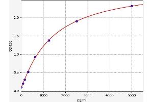 Typical standard curve (Laminin alpha 5 ELISA Kit)