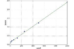 POTE Ankyrin Domain Family, Member A (POTEA) ELISA Kit
