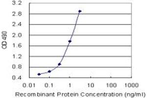 Sandwich ELISA detection sensitivity ranging from 1 ng/mL to 100 ng/mL.