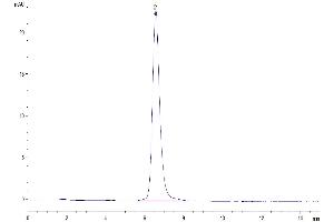 The purity of Human SEZ6L2 is greater than 95 % as determined by SEC-HPLC. (SEZ6L2 Protein (AA 28-844) (His tag))