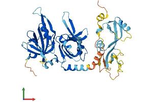 AlphaFold protein structure predicition of Human Recombinant MEIOB Protein, UniprotID Q8N635