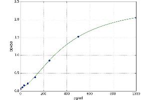 TGF-beta Activated Kinase 1/MAP3K7 Binding Protein 2 (TAB2) ELISA Kit