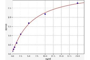 DNM2 ELISA Kit