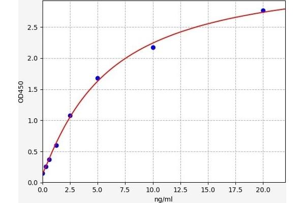 DNM2 ELISA Kit