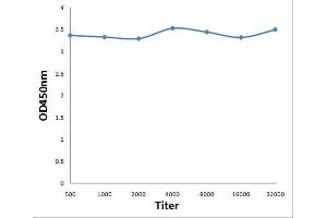 Antigen: 0. (tau Antikörper  (pSer199))