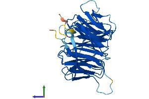AlphaFold protein structure predicition of Mouse Recombinant Mlst8 Protein, UniprotID Q9DCJ1 (GBL Protein (AA 1-326) (His tag))