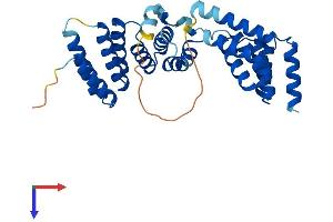TOMM34 Protein (AA 1-309) (His tag)