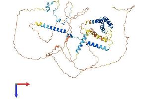 SPATA7 Protein (AA 1-582) (His tag)