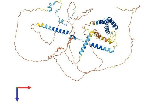SPATA7 Protein (AA 1-582) (His tag)