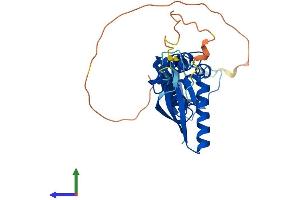 Protein Structure (PS) image for Potassium Channel Tetramerisation Domain Containing 7 (KCTD7) (AA 1-289) protein (His tag) (ABIN7548737)