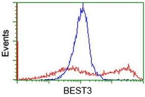 Flow Cytometry (FACS) image for anti-Bestrophin 3 (BEST3) antibody (ABIN1501731)
