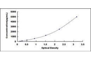 ELISA image for Myeloperoxidase (MPO) ELISA Kit (ABIN6574172)