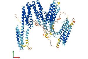 AlphaFold protein structure predicition of Mouse Recombinant Ctnna3 Protein, UniprotID Q65CL1