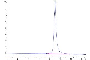 Size-exclusion chromatography-High Pressure Liquid Chromatography (SEC-HPLC) image for Tumor Necrosis Factor Receptor Superfamily, Member 25 (TNFRSF25) (AA 31-196) protein (His tag) (ABIN7274495)