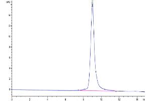The purity of Mouse DR3 is greater than 95 % as determined by SEC-HPLC. (DR3/LARD Protein (AA 31-196) (His tag))