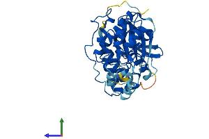 Protein Structure (PS) image for Mitogen-Activated Protein Kinase 13 (MAPK13) (AA 1-366) protein (His tag) (ABIN7565275)