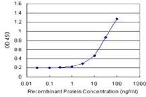 Sandwich ELISA detection sensitivity ranging from 1 ng/mL to 100 ng/mL. (EDN3 (Human) Matched Antibody Pair)
