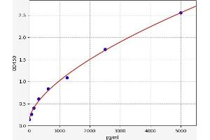 CD39 ELISA Kit