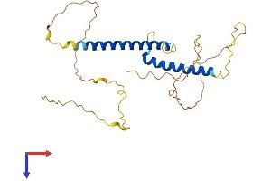 OLIG1 Protein (AA 1-260) (His tag)