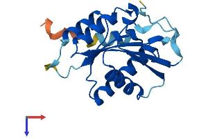 Protein Structure (PS) image for Centromere Protein M (CENPM) (AA 1-180) protein (His tag) (ABIN7553454)