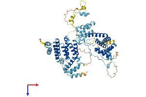 THOC1 Protein (AA 1-657) (His tag)