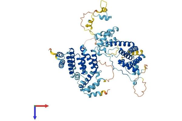 THOC1 Protein (AA 1-657) (His tag)