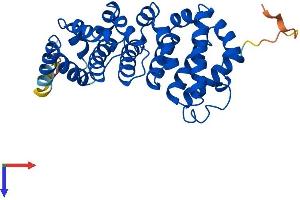 RQCD1 Protein (AA 1-299) (His tag)