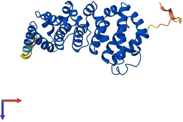 RQCD1 Protein (AA 1-299) (His tag)