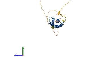 Protein Structure (PS) image for Regulator of G Protein Signaling 7 Binding Protein (RGS7BP) (AA 1-257) protein (His tag) (ABIN7551173)