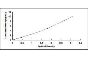 ELISA image for CD40 Ligand (CD40LG) ELISA Kit (ABIN414199)