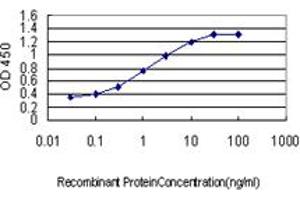 Detection limit for recombinant GST tagged UNC5D is approximately 0. (UNC5D Antikörper  (AA 31-130))