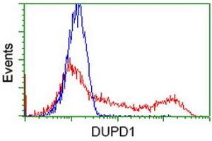 HEK293T cells transfected with either RC214361 overexpress plasmid (Red) or empty vector control plasmid (Blue) were immunostained by anti-DUPD1 antibody (ABIN2452962), and then analyzed by flow cytometry. (DUPD1 Antikörper)