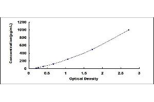 ELISA image for Peptidylprolyl Isomerase A (Cyclophilin A) (PPIA) ELISA Kit (ABIN4947495)