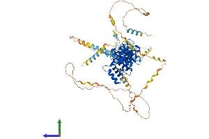 AlphaFold protein structure predicition of Mouse Recombinant Apbb1ip Protein, UniprotID Q8R5A3