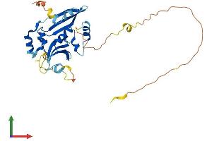 AlphaFold protein structure predicition of Mouse Recombinant Tpgs2 Protein, UniprotID Q66JT5
