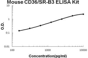Mouse CD36/SR-B3 PicoKine ELISA Kit standard curve