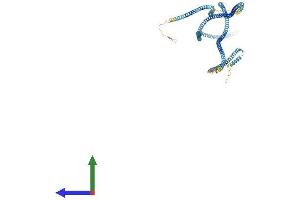 AlphaFold protein structure predicition of Mouse Recombinant Cfap58 Protein, UniprotID B2RW38