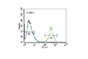 FRK Antibody (N-term) (ABIN392097 and ABIN2841849) flow cytometric analysis of 293 cells (right histogram) compared to a negative control cell (left histogram). (FRK Antikörper  (N-Term))