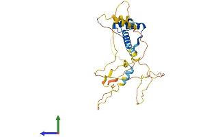 Protein Structure (PS) image for Paired-Like Homeodomain 2 (PITX2) (AA 1-317) protein (His tag) (ABIN7556817)